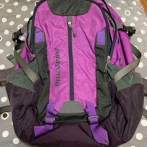 Patagonia Purple/turquoise backpack